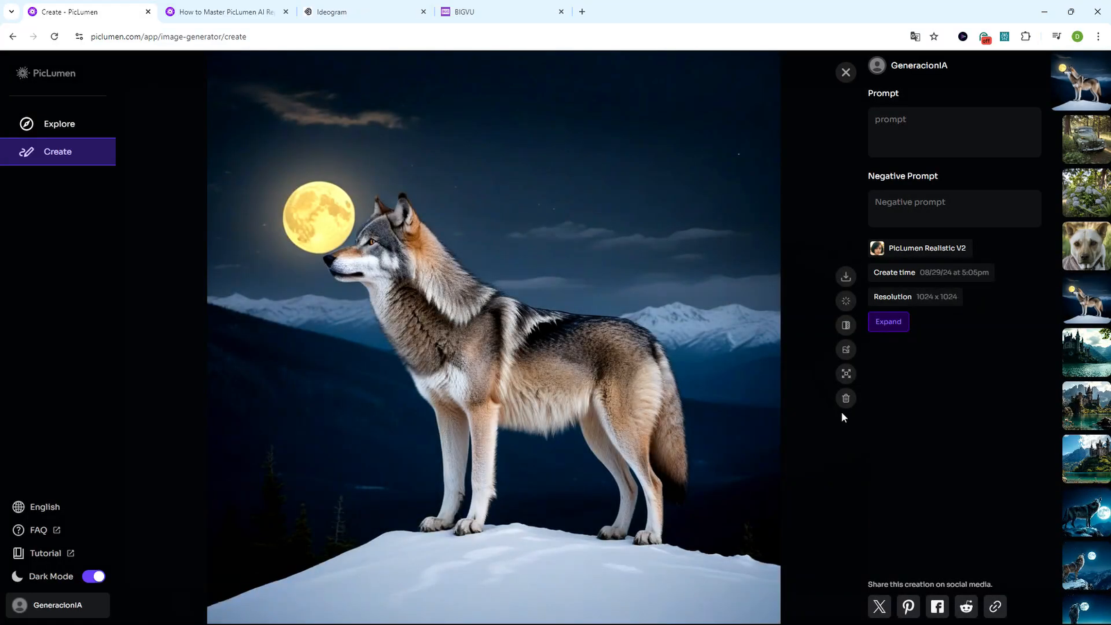 Opción de expandir imagen en PicLumen