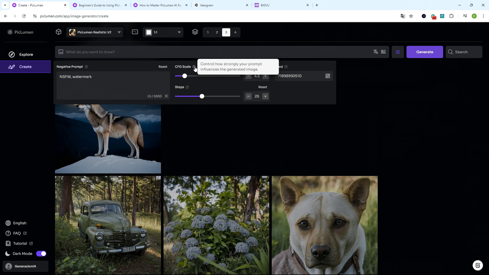 Ajustes avanzados para la creación de imágenes en PicLumen