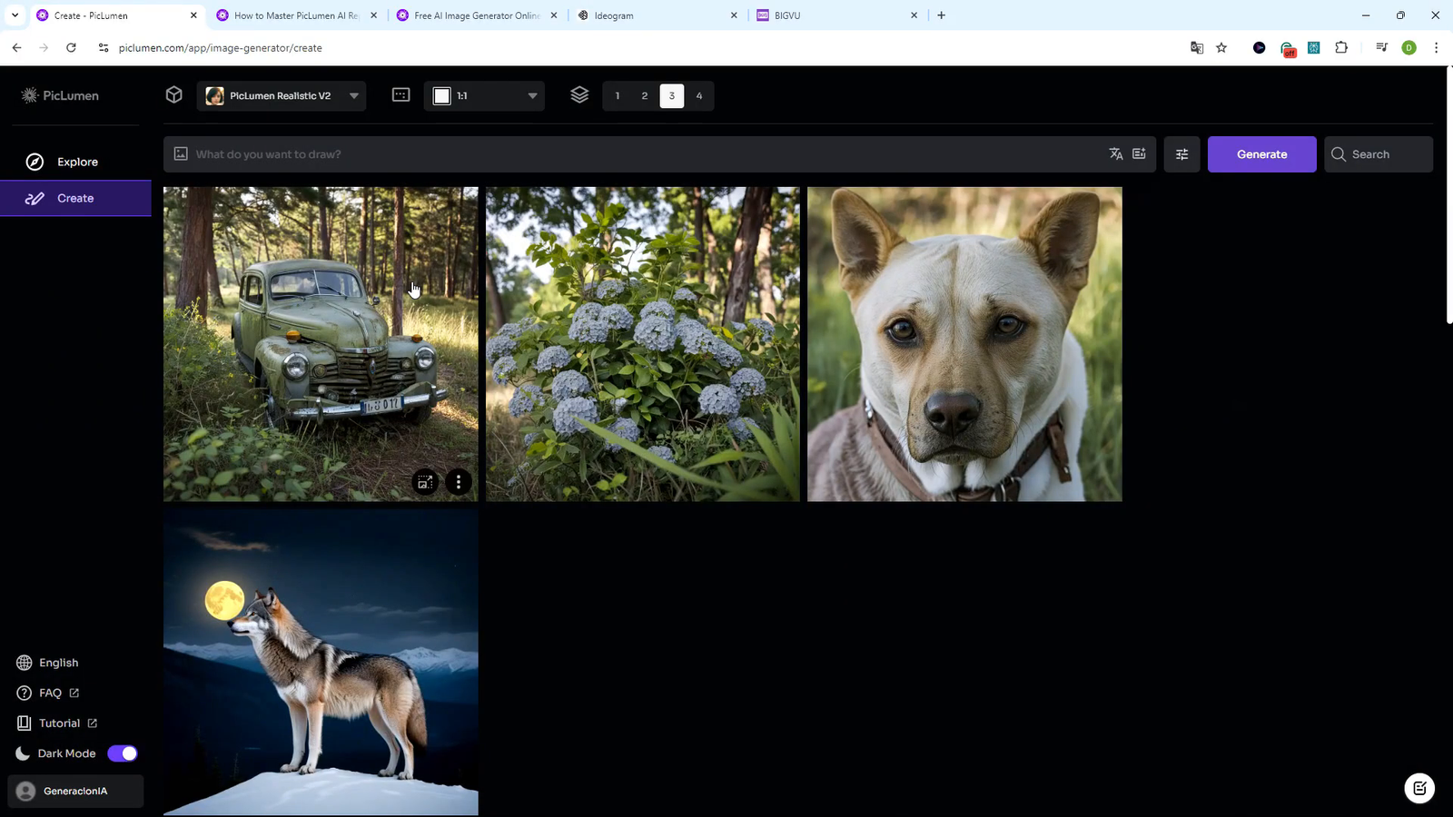 Resultado de la creación de imagen en PicLumen