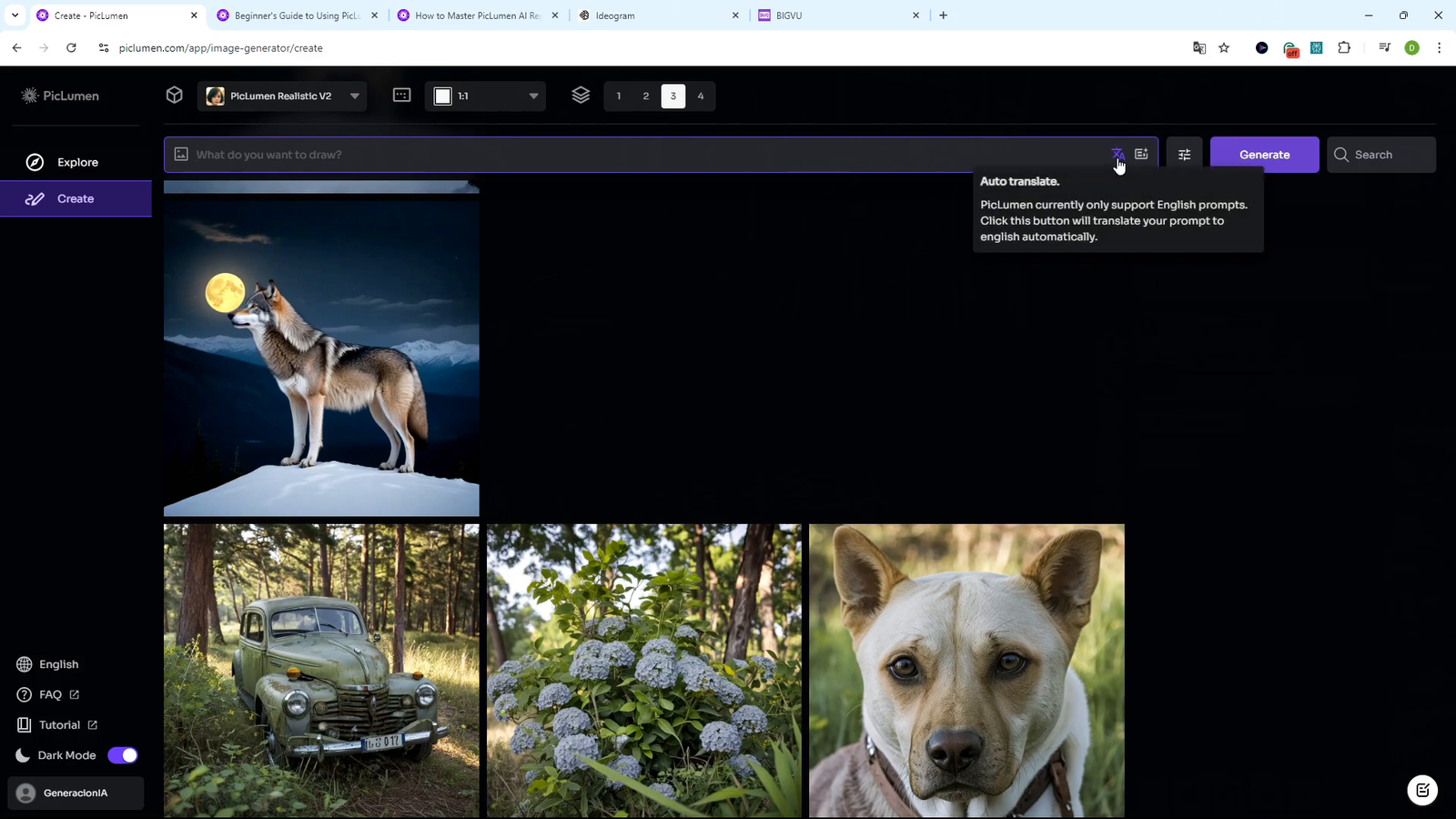 Opción de auto traducción en PicLumen