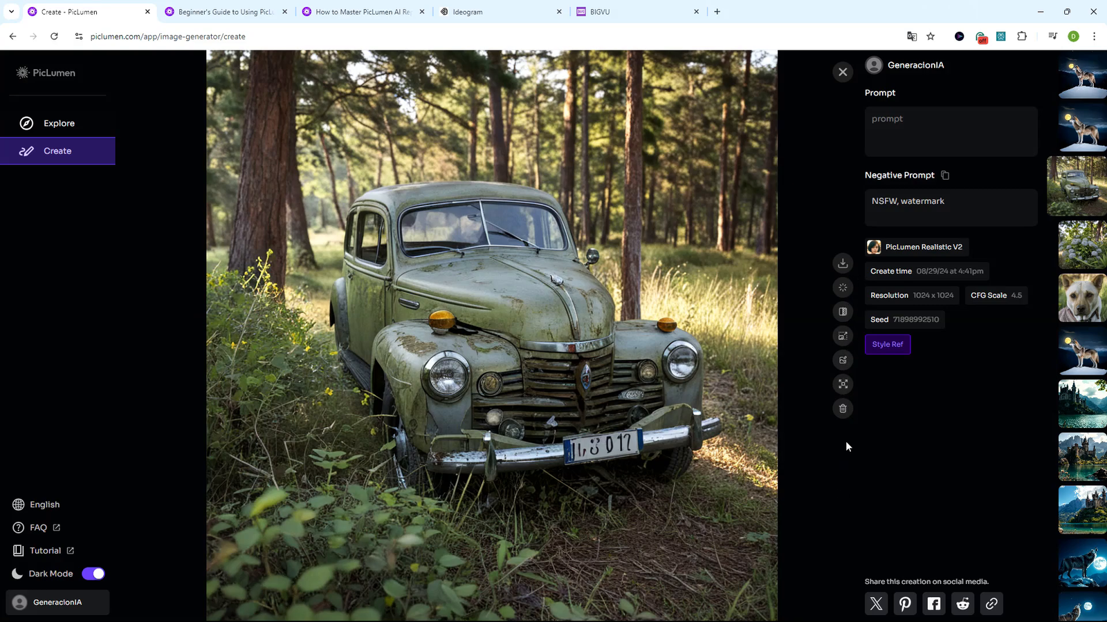 Funciones avanzadas en PicLumen